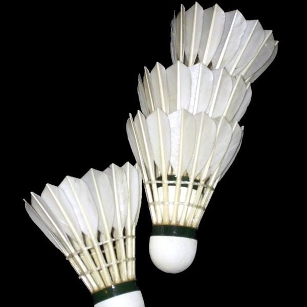 Untitled design (3)